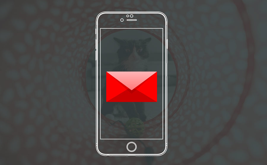 7 Ways To Grow Your Email Subscriber List